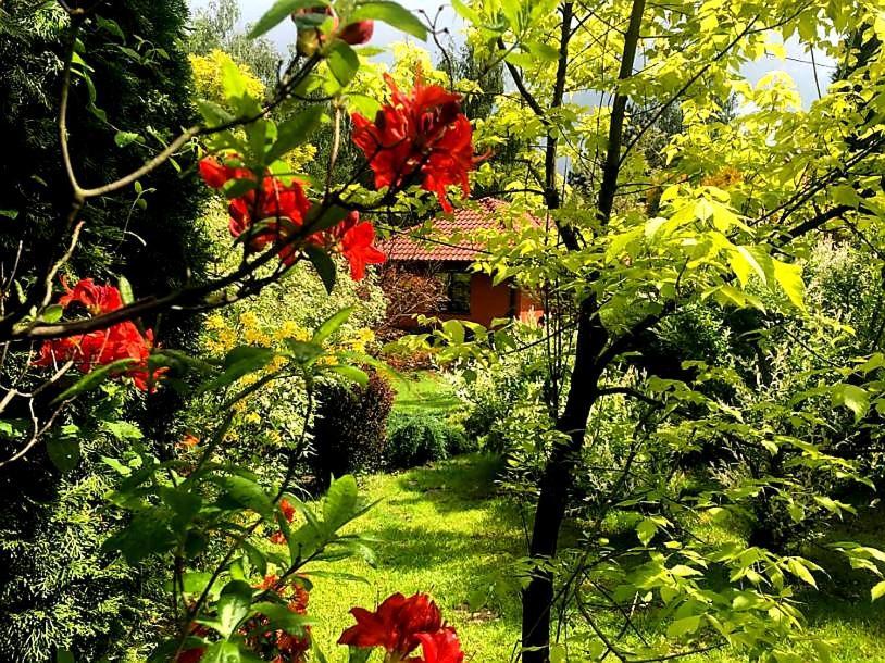 Secret Garden Residence Paszkówka Εξωτερικό φωτογραφία